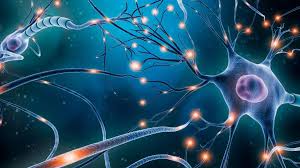 Cơn động kinh vắng ý thức: Nguyên nhân và dấu hiệu nhận biết