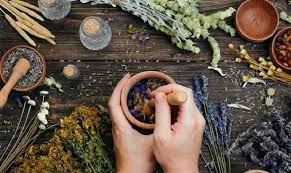 Chuyên gia chia sẻ: Có nên sử dụng thuốc nam chữa ung thư gan?