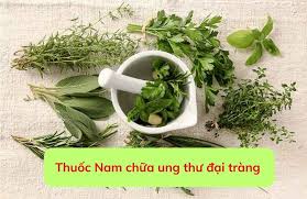 Giải đáp thắc mắc: Thực hư dùng thuốc nam trị ung thư đại tràng?