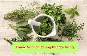 Giải đáp thắc mắc: Thực hư dùng thuốc nam trị ung thư đại tràng?