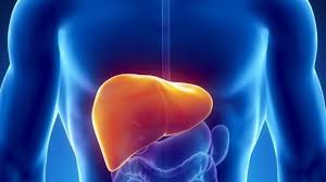 Khám gan ở đâu tốt nhất Hà Nội? Tổng hợp nơi khám chất lượng