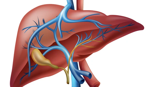 Tìm hiểu chung viêm gan thiếu máu cục bộ