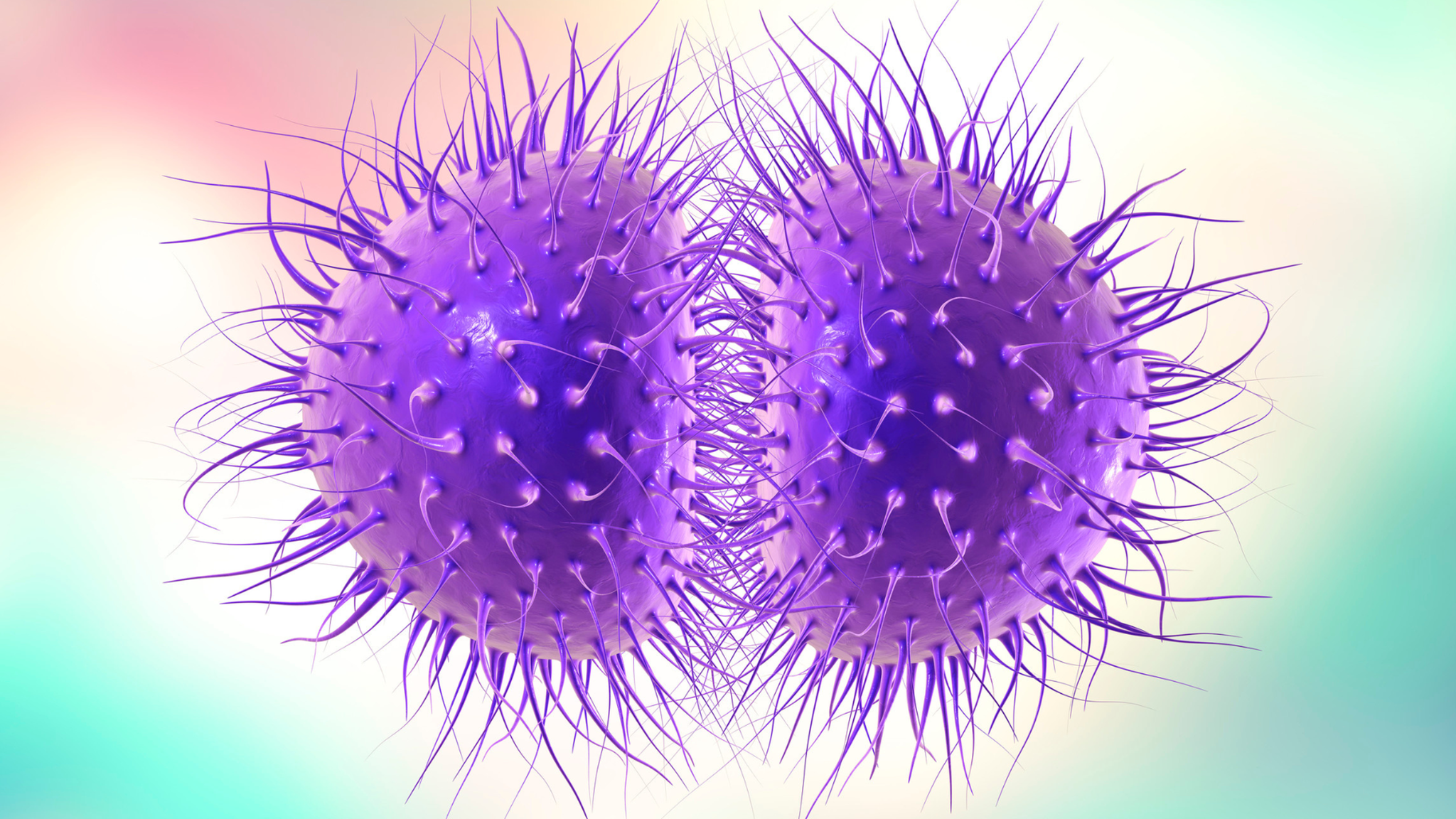 Viêm não mô cầu BC là gì? Những vấn đề cần biết về viêm não mô cầu BC