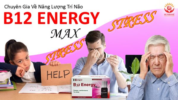 STRESS Quá Mức Làm Giảm Khả Năng Nhận Thức, Kết Quả Học Tập Kém, Hiệu Quả Công Việc Thấp