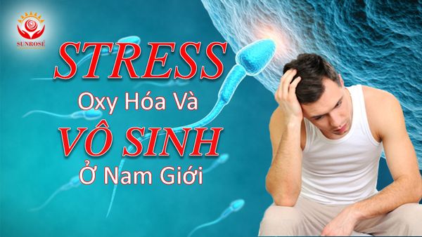 STRESS Oxy Hóa Và VÔ SINH Ở Nam Giới