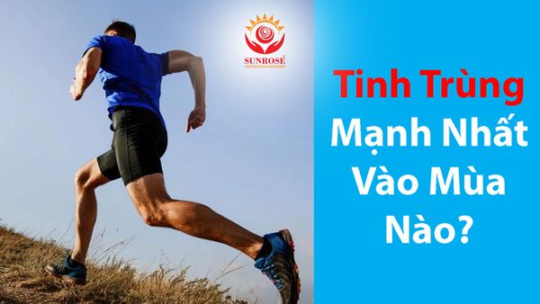 Tinh Trùng Mạnh Nhất Vào Mùa Nào?