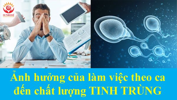 Ảnh Hưởng Của Làm Việc Theo Ca Đến Chất Lượng Tinh Trùng