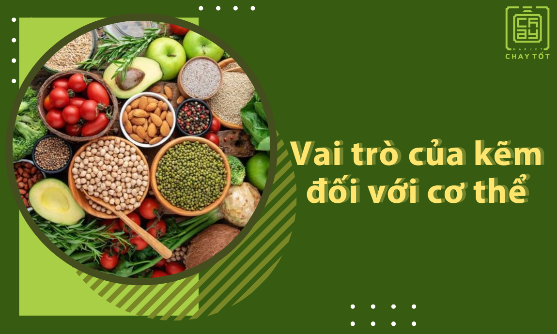 Vai trò của kẽm đối với cơ thể con người