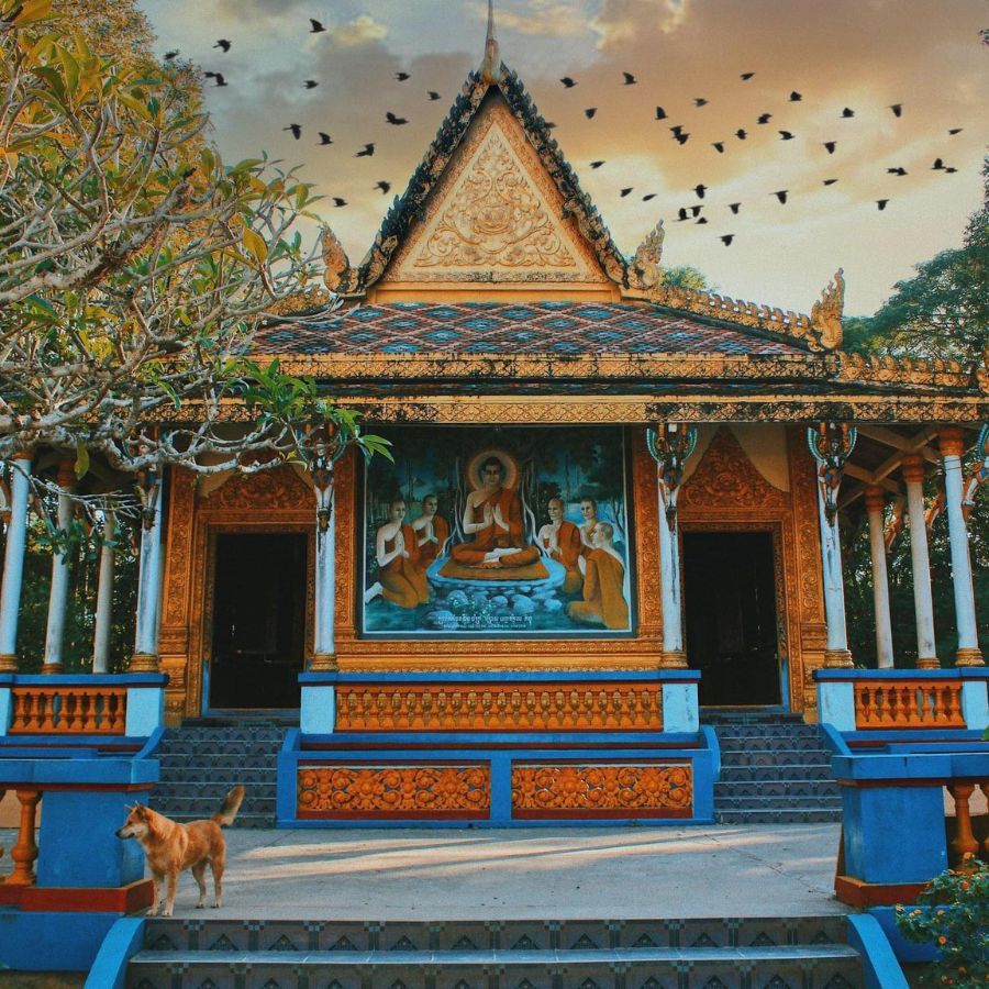 Mê hoặc trước vẻ đẹp cổ kính của Chùa Dơi