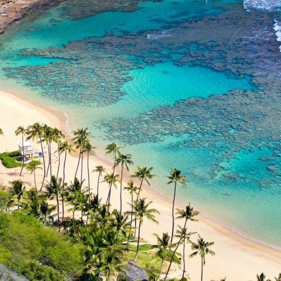 Rung động với những hoạt động thú vị tại Cù lao Chàm