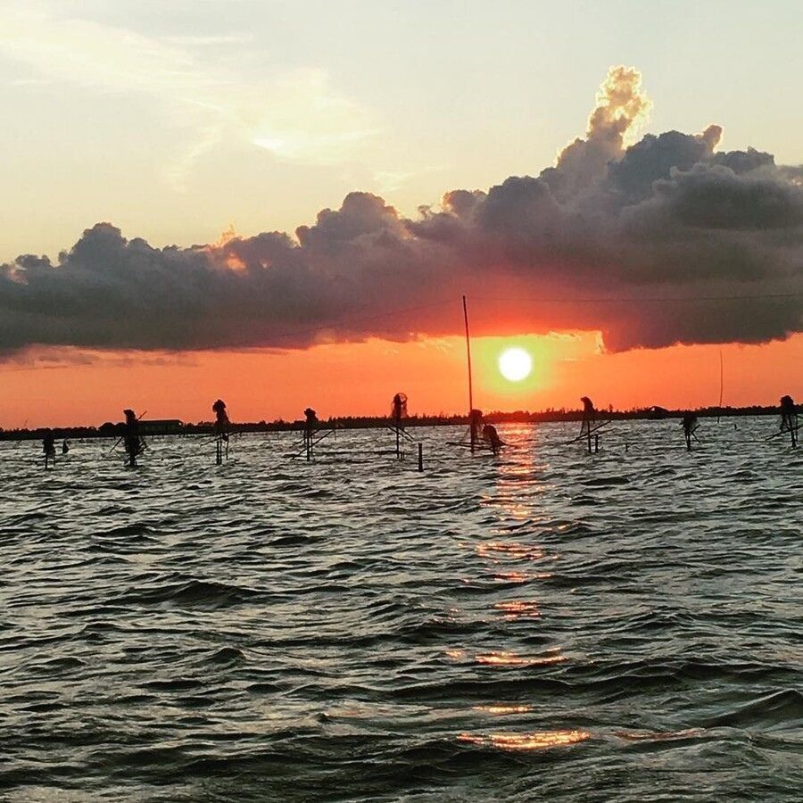 Bạn đã biết đến Đầm Thị Tường - Viên ngọc ẩn giữa rừng tràm chưa?