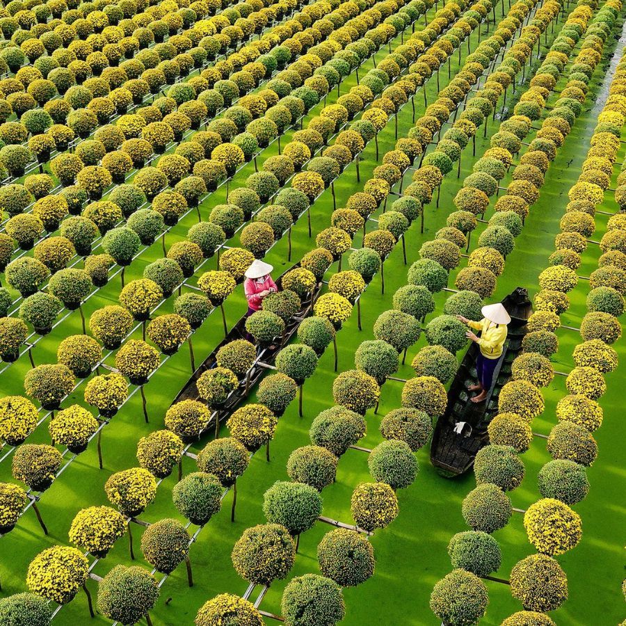 Đồng Tháp có gì chơi? Điểm danh các điểm đến đẹp nhất