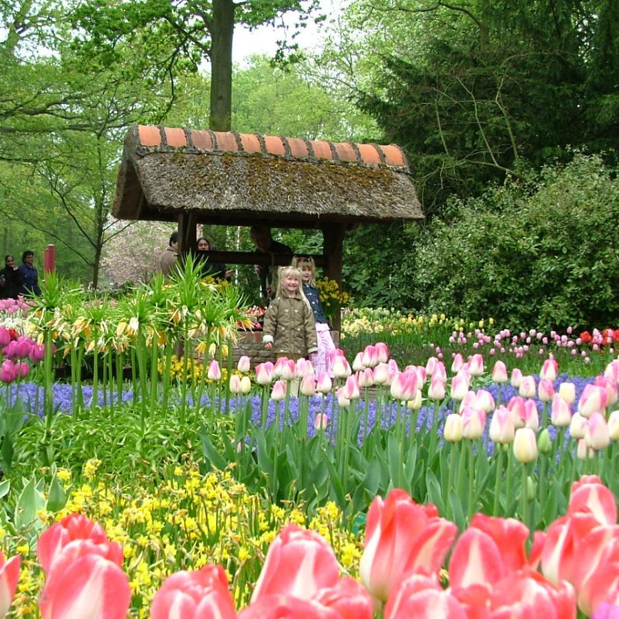 Du lịch Đà Lạt | Chốn mộng mơ giữa lòng cao nguyên