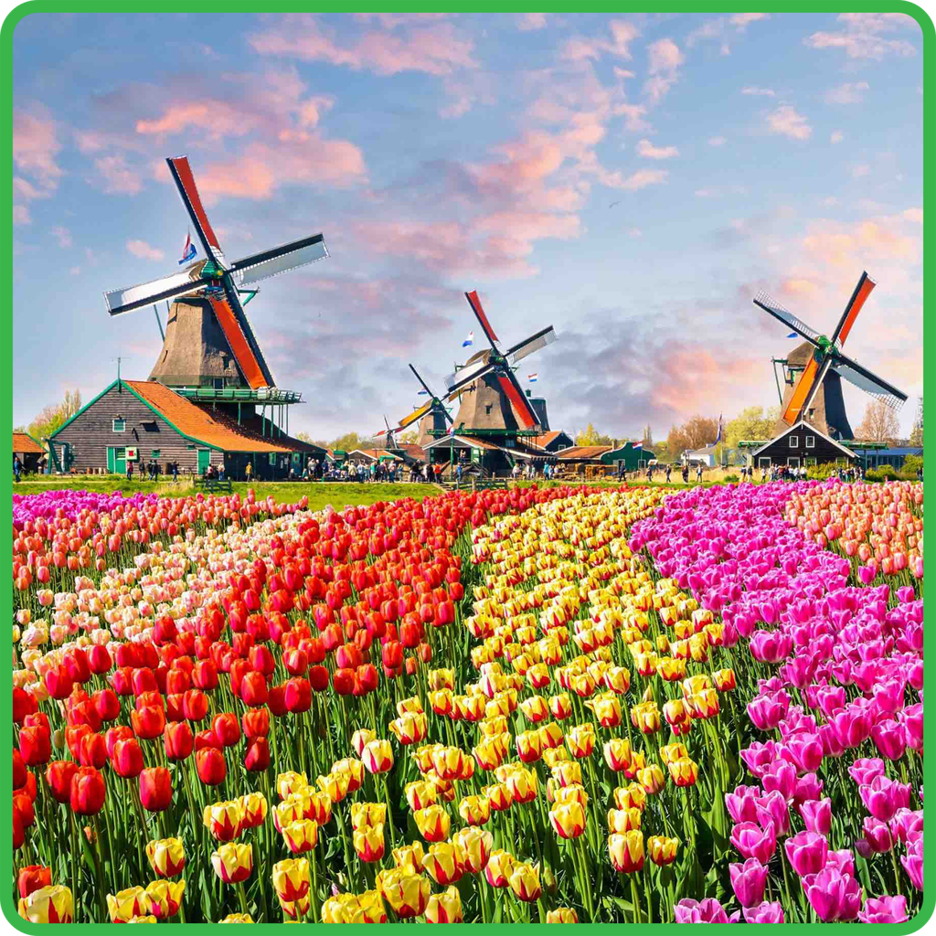 Top 15+ trải nghiệm bạn nhất định phải thử khi du lịch Hà Lan