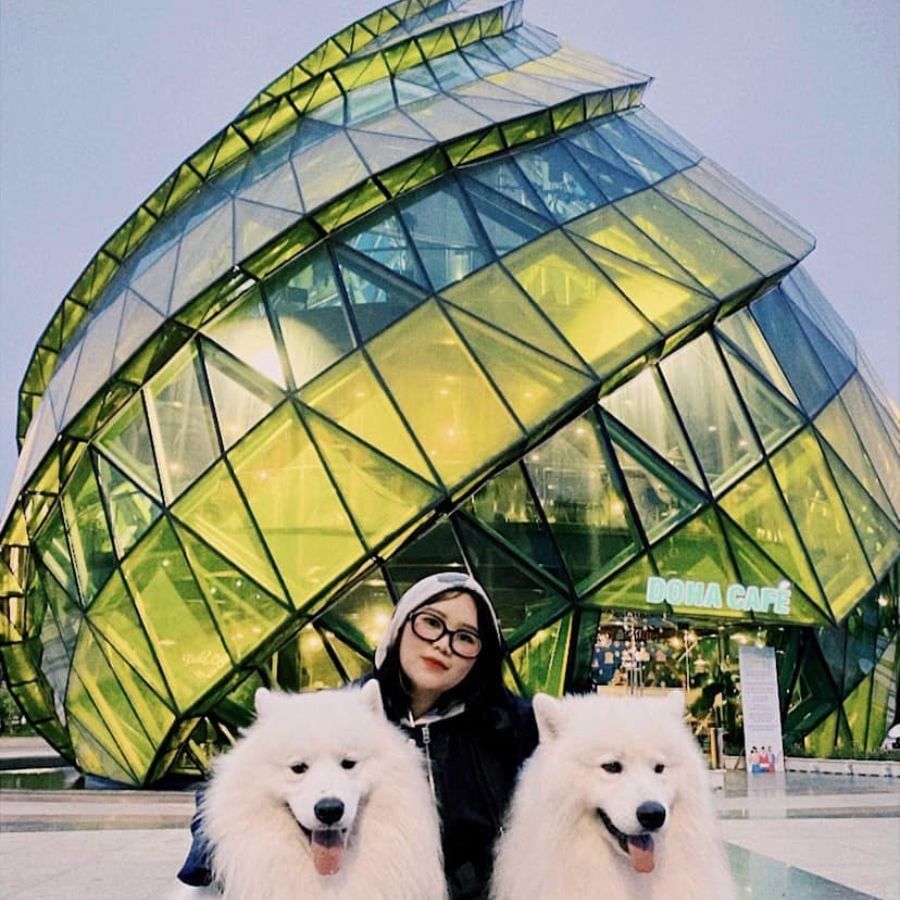 Vẻ đẹp tráng lệ và những điều thú vị tại Quảng trường Lâm Viên