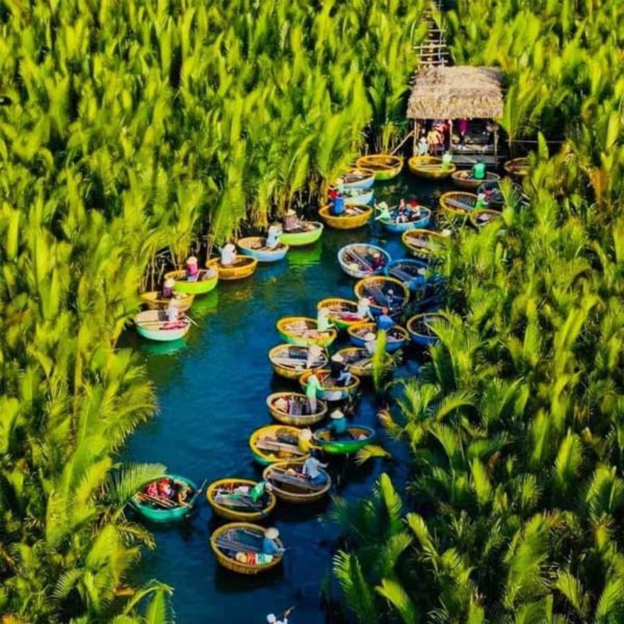 Trải nghiệm du lịch sinh thái độc đáo tại Rừng Dừa Bảy Mẫu