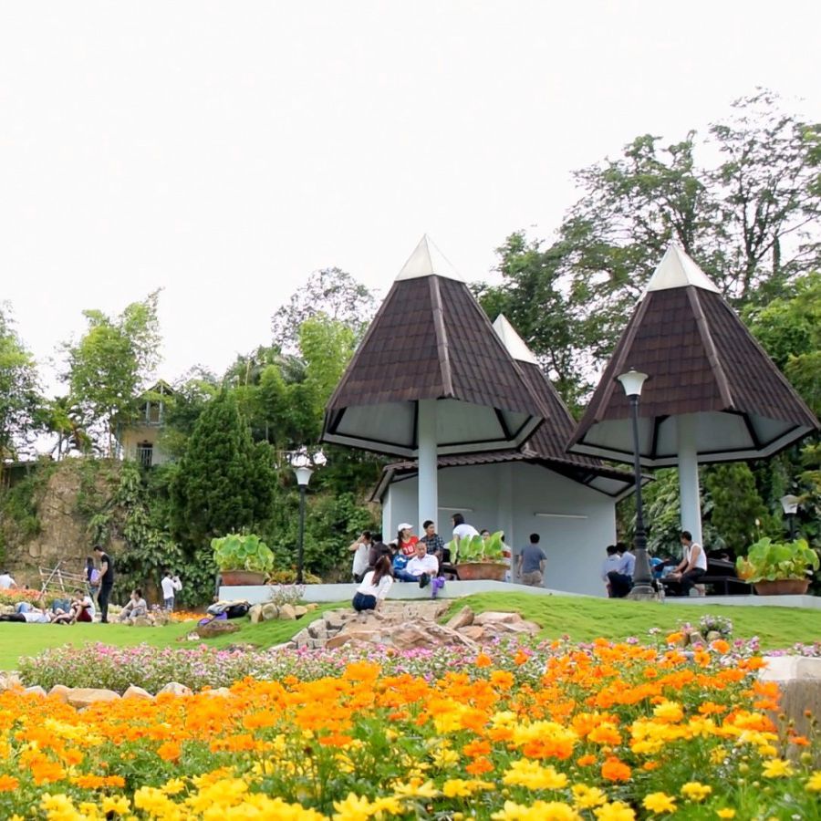 Đà Lạt mộng mơ với Thung lũng Tình yêu say đắm lòng người