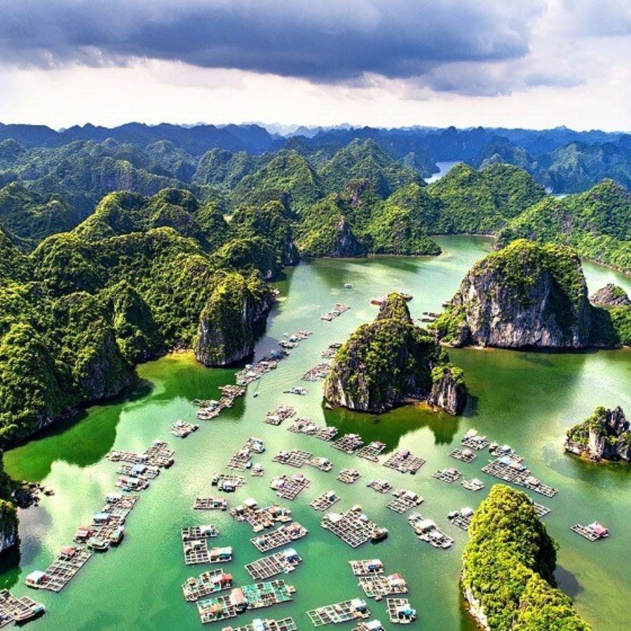 Khám phá Vịnh Hạ Long | Kỳ quan thiên nhiên thế giới