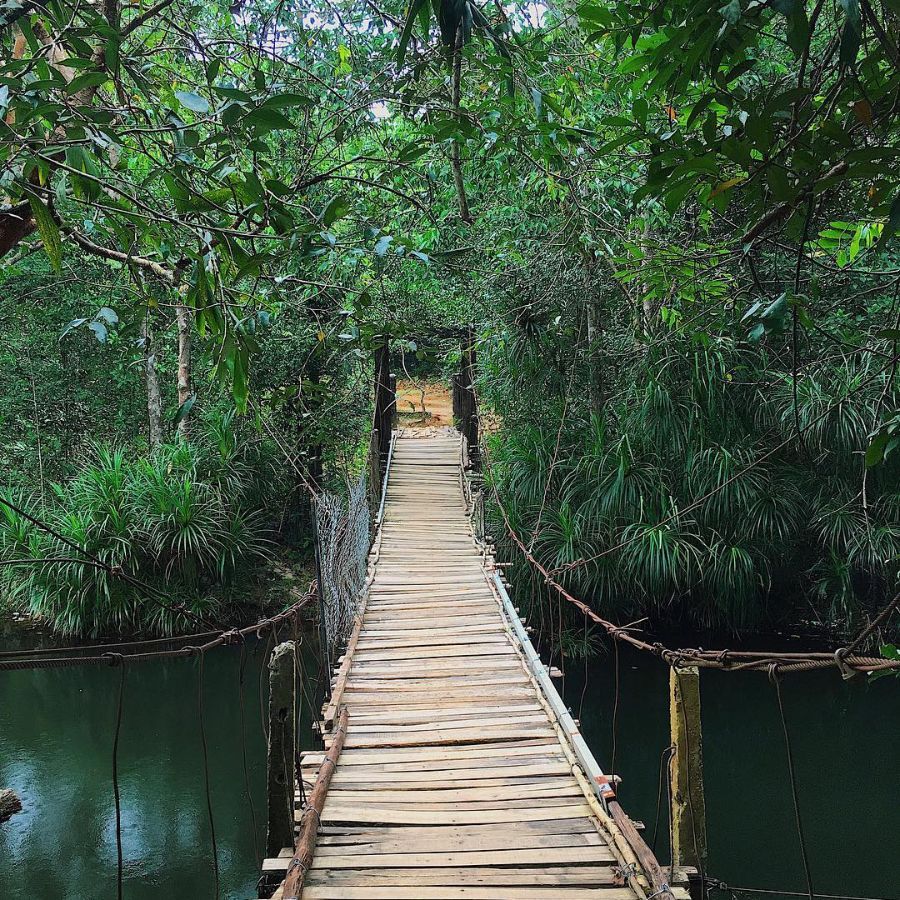 Bí mật thiên nhiên ẩn chứa trong vườn Quốc gia Phú Quốc