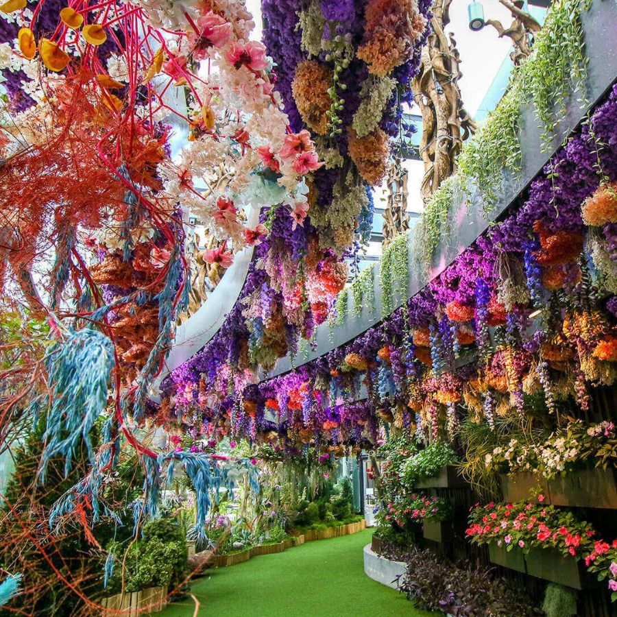 Vườn thực vật Garden By The Bay - Cánh cổng đến tương lai xanh