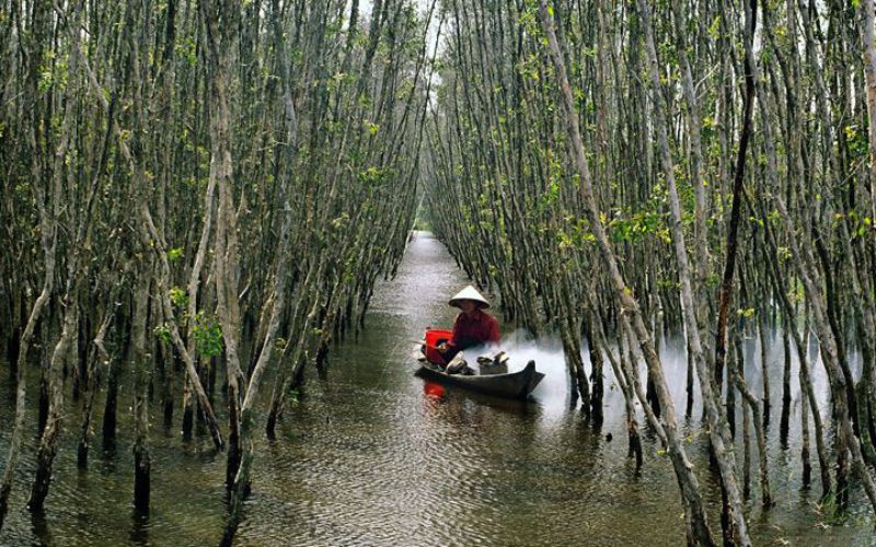 Cà Mau có gì chơi?