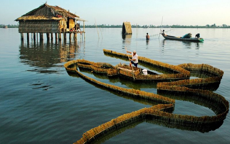 Đầm Thị Tường