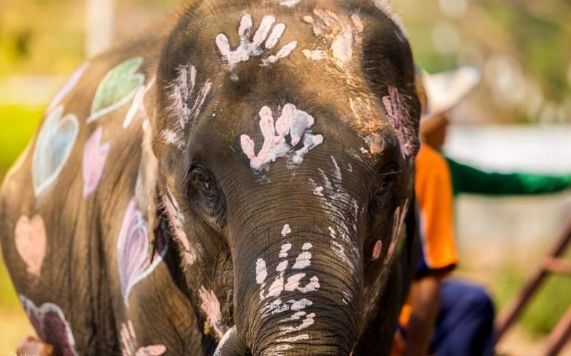 tour du lịch Chiang Mai