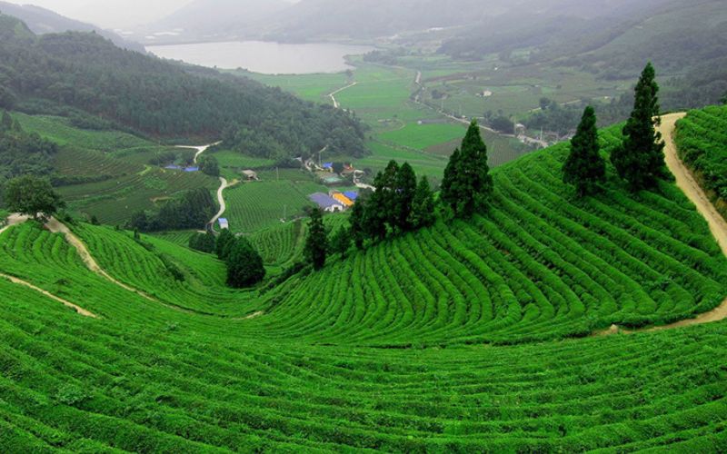 Tour du lịch Hàng Châu