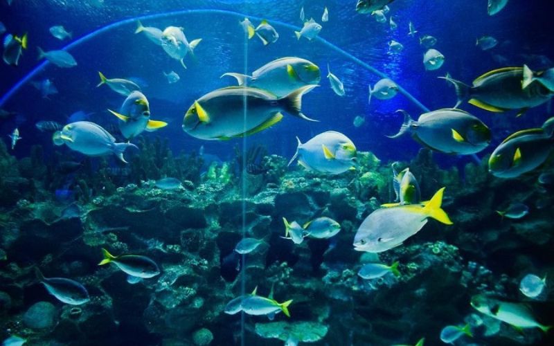 tour du lịch Malaysia