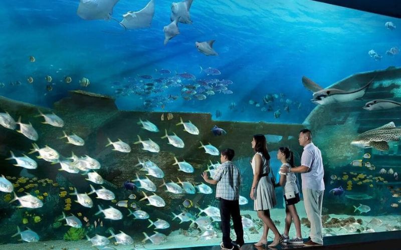 tour du lịch Singapore