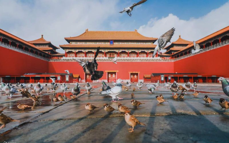 Tử cấm Thành - Cố Cung