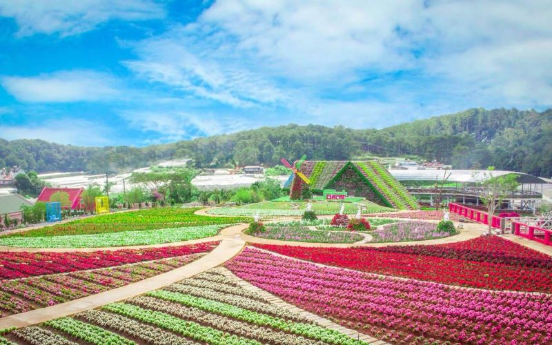 Vườn hoa thành phố Đà Lạt