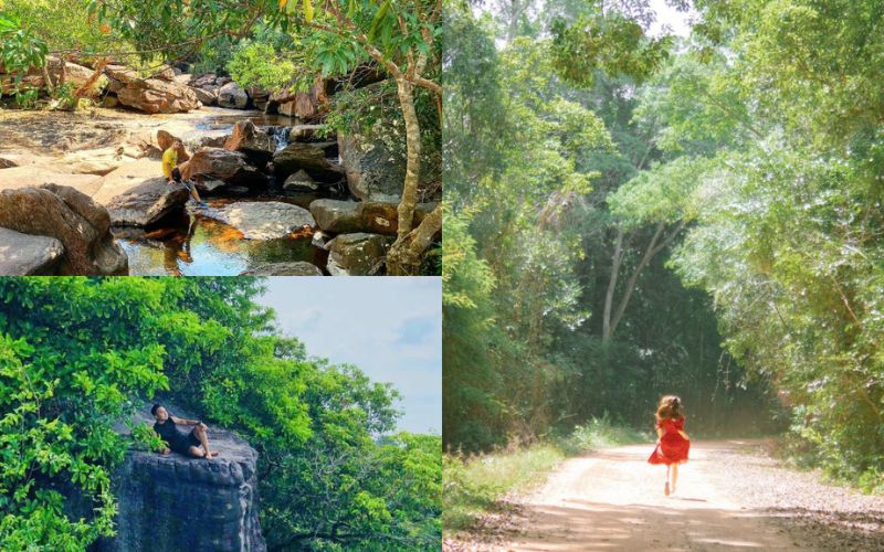 vườn quốc gia Phú Quốc