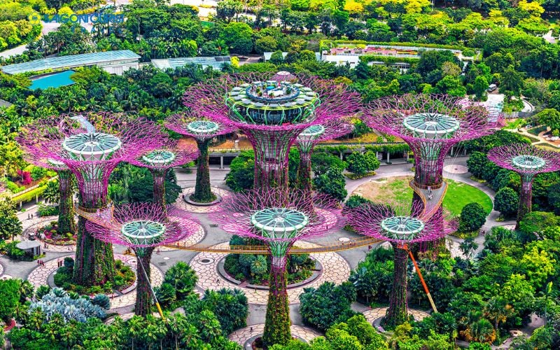vườn thực vật Garden By The Bay