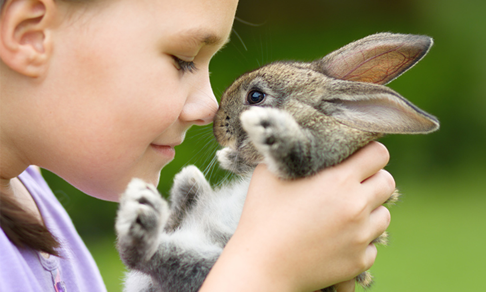 Instituto Espanol không thử nghiệm trên động vật