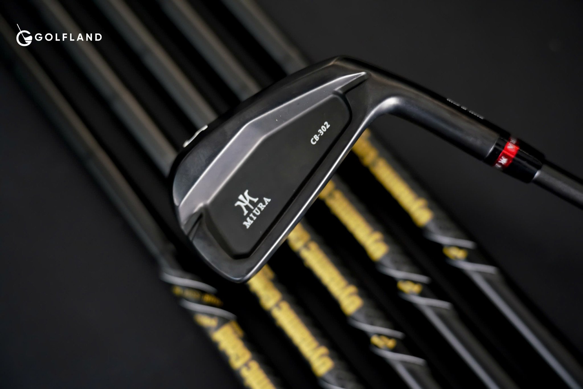 GOLF LAND CUSTOM FITTING | MIURA CB-302 X DYNAMIC GOLD