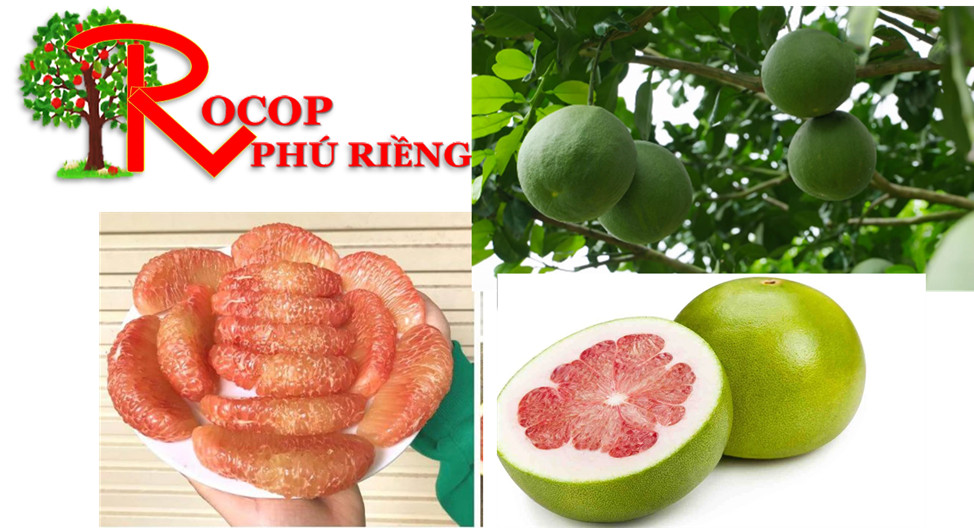 Sản phẩm nổi bật