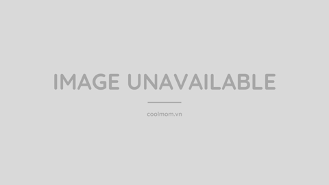 Khám phá quyền lực ẩn của việc trở thành chủ