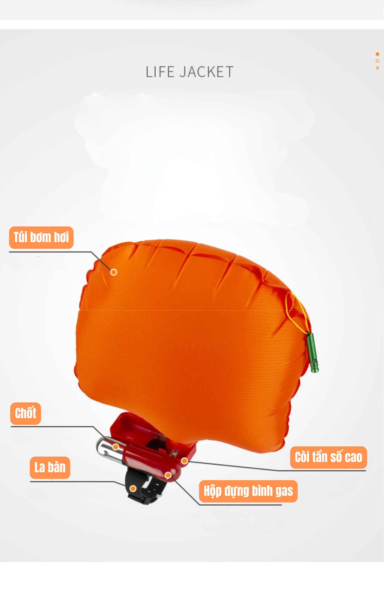 SafePop VAGANT