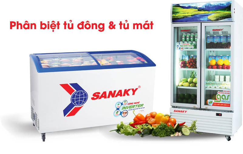 So sánh chi tiết tủ đông và tủ mát công nghiệp