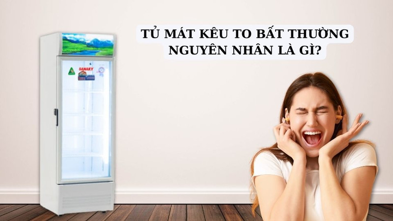 Nguyên Nhân & Cách Khắc Phục Tủ Mát Kêu To Hiệu Quả