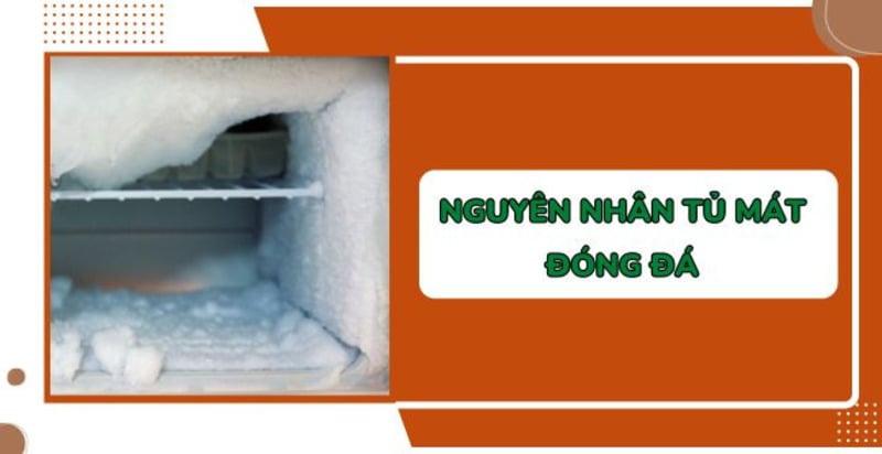 Nguyên nhân tủ mát đóng đá