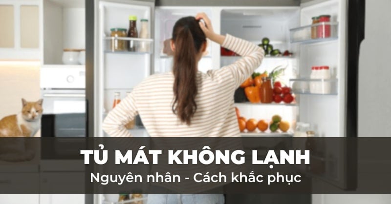 Nguyên nhân tủ mát không lạnh