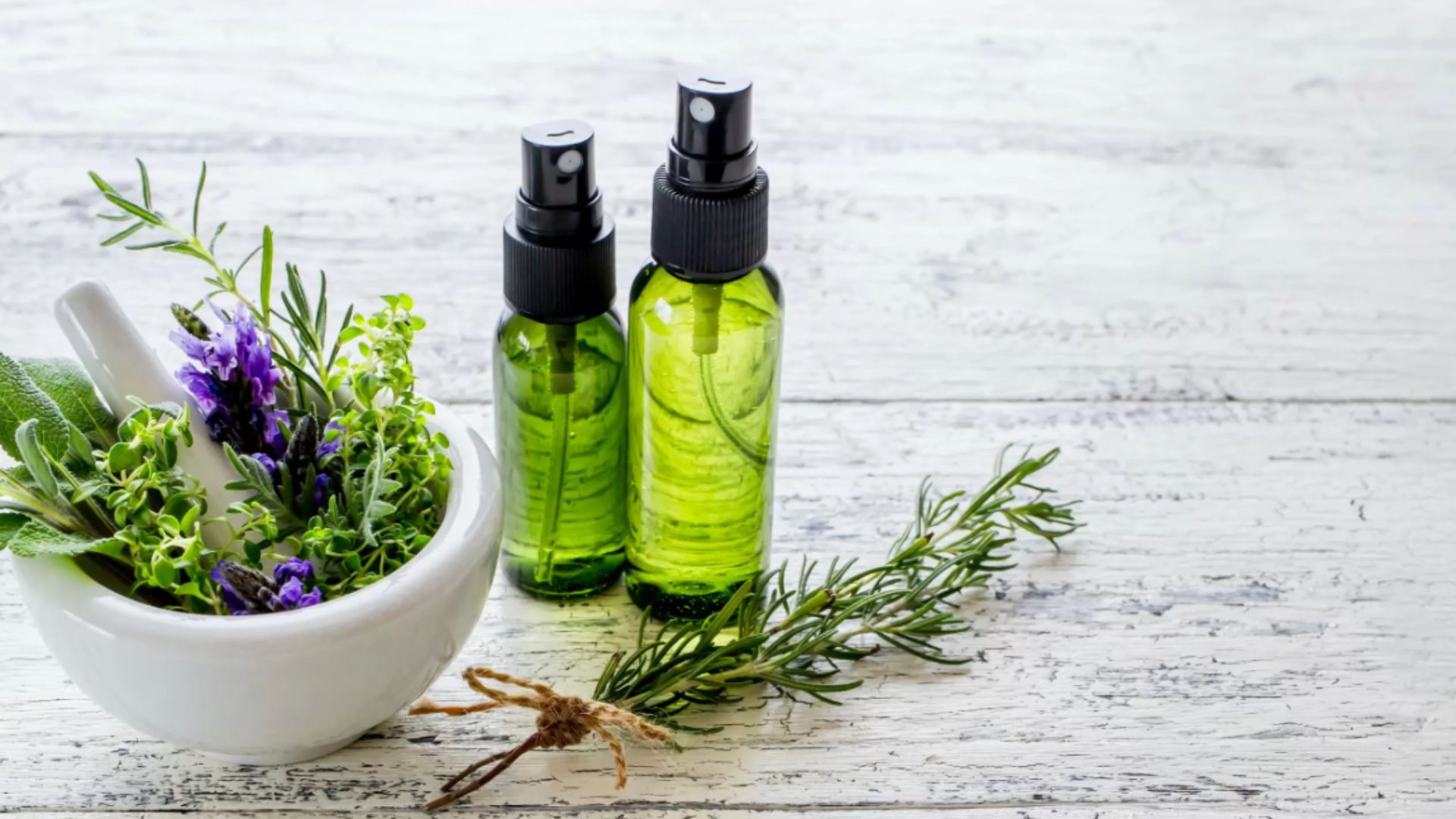 Adaptogenic là gì?