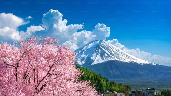 Văn hóa, Phong tục và Truyền thống Nhật Bản