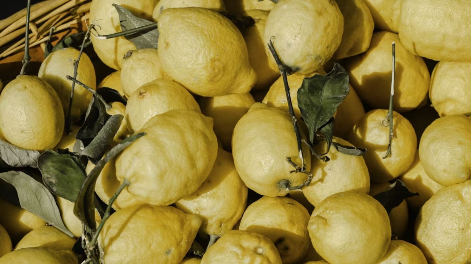 Hương đầu trong nước hoa – Lời mời gọi quyến rũ