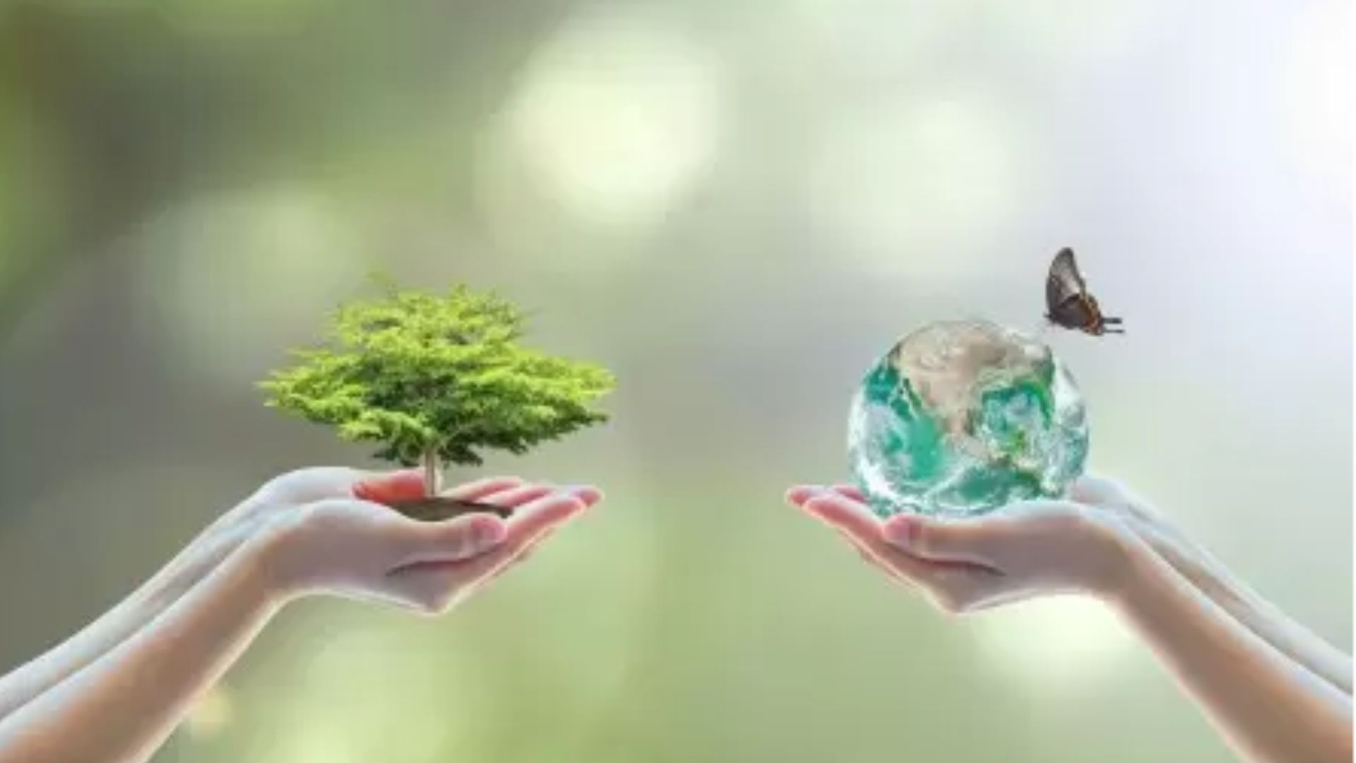 MỸ PHẨM SẠCH LÀ GÌ?