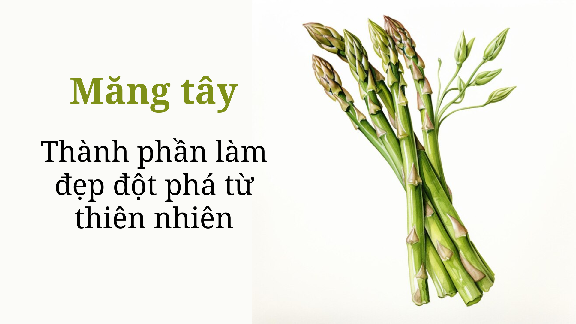 Măng tây - Bí quyết trẻ hóa da từ thiên nhiên