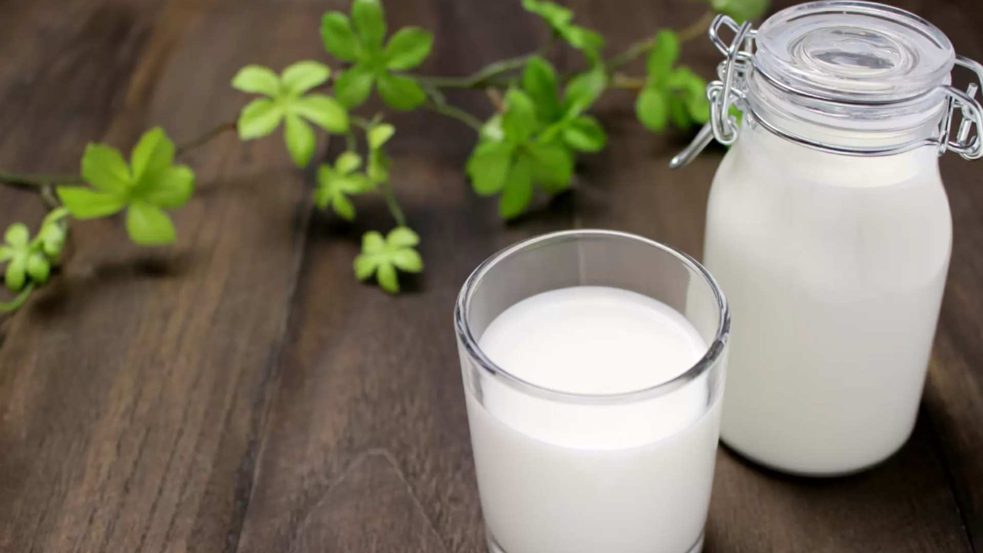 Bí kíp rửa mặt với sữa