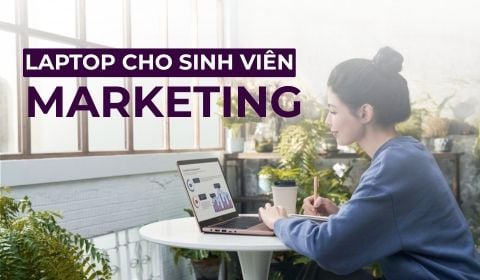 11 Laptop dành cho sinh viên Marketing - Cấu hình ổn, giá tốt 2026